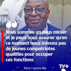 GABON : 4000 expatriés qualifiés en 2024 faute de compétences locales – Un défi pour l’emploi.