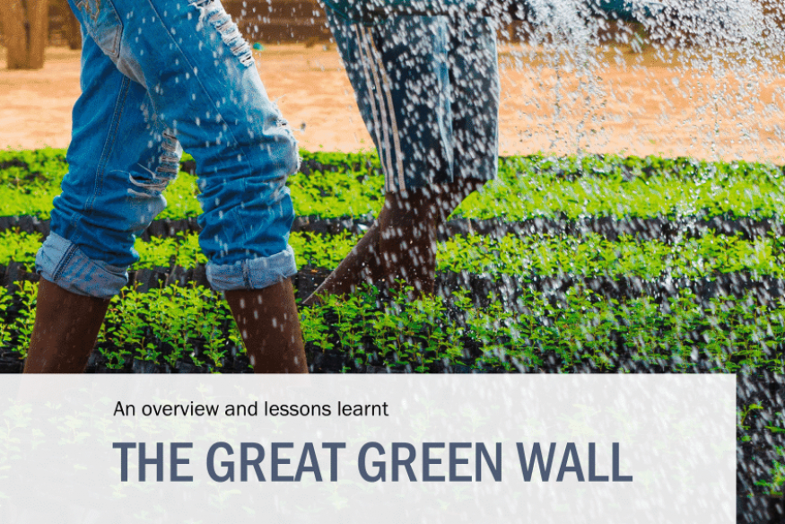 AFRIQUE 2050 : Une approche holistique du développement des murs verts