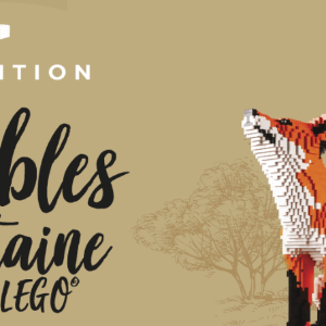 Communiqué de presse