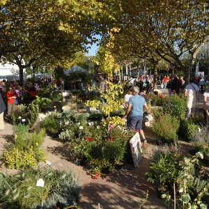 France : Chers auditeurs, chers tous de la Commune  Saint-Gély-du-Fesc