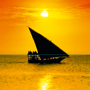 AFRIQUE : IDE au Mozambique le bon endroit au bon moment