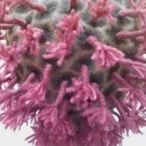 AFRIQUE : Côte d’Ivoire, une coiffure et un pagne symbolisant le Covid-19 enflent la toile