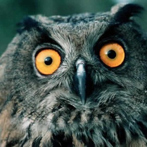 FAITS DIVERS : «Par ma faute, la sorcellerie a ruiné ma famille et ma vie…», les révélations choquantes d’une femme