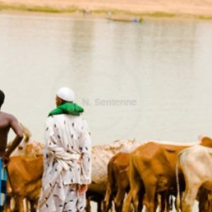 AFRIQUE : Niger, l’interdiction de la prière violemment contestée