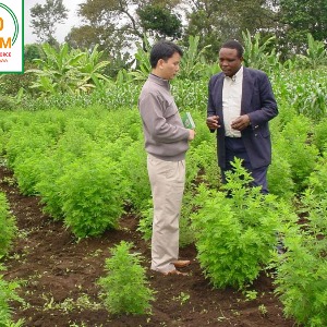AFRIQUE : Donner la médecine traditionnelle une chance
