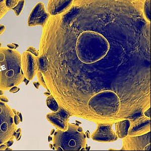 ECONOMIE «Bons Covid-19» : plus de 1000 milliards FCFA mobilisés sur le marché financier de l’UEMOA