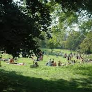 FRANCE Réouverture des parcs : la mairie de Paris met en place un protocole de sécurité