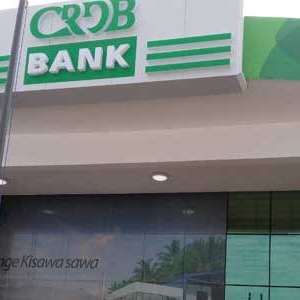 AFRIQUE 2050 : La plus grande banque de Tanzanie envisage de se développer