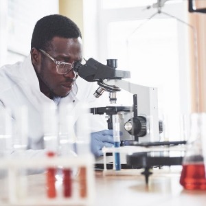 AFRIQUE 2050  : La performance de l'Afrique en matière de capital humain est décevante