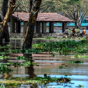 AFRIQUE2050 : Vert L’Afrique cherche 25 milliards de dollars pour l’adaptation au climat, la reprise verte