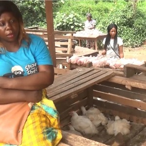 AFRIQUE2050 Cameroun : De nouvelles restrictions commerciales ébouriffent les agriculteurs camerounais