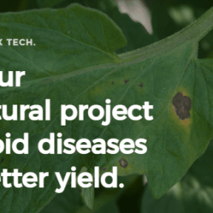 AFRIQUE2050 :  Agrix Tech du Cameroun utilise l’IA pour aider les agriculteurs à prévenir les maladies des cultures