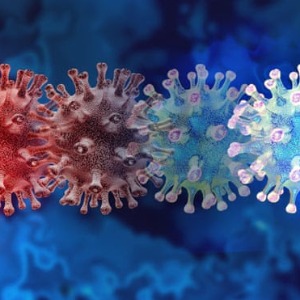 AFRIQUE2050 : Une nouvelle variante de Covid en Afrique australe suscite des inquiétudes