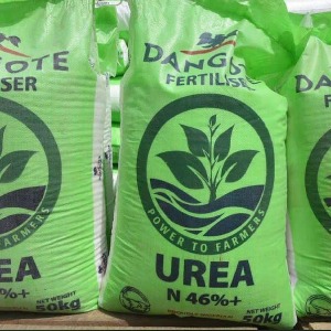 AFRIQUE2050 Engrais : La nouvelle entreprise de Dangote est arrivée au bon moment