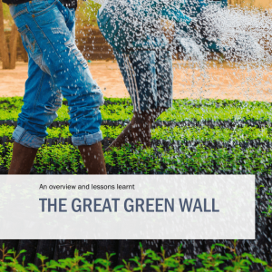 AFRIQUE 2050 : Une approche holistique du développement des murs verts