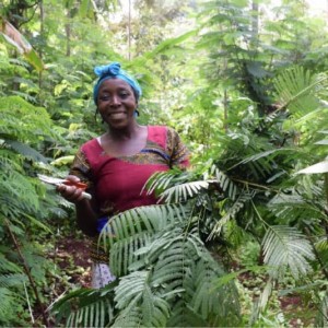 AFRIQUE : Les femmes ne devraient pas être laissées pour compte dans l'AfCFTA