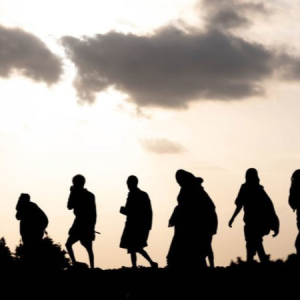 ENVIRONNEMENT : 113 millions de personnes vont déménager en Afrique d'ici 2050 en raison du changement climatique