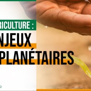 Les enjeux sont planétaires Eau et agriculture