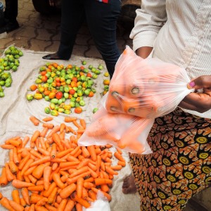 Un appel pour mettre fin à l'utilisation du plastique au Cameroun