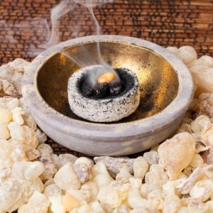 L'industrie occidentale du bien-être met en péril les forêts d'encens en Éthiopie.