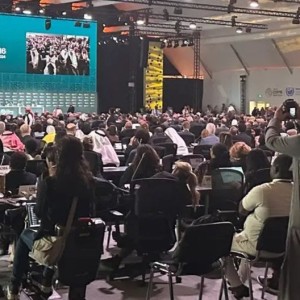 La COP16 de l'ONU souligne le lien entre la dégradation des terres, les migrations forcées et les conflits.