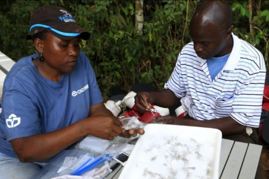 L'Afrique a besoin d'investir dans la recherche