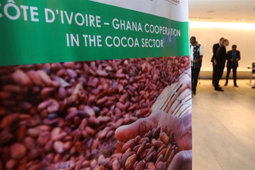 Top des producteurs de cacao du monde Coordinate 2020-2021 Fèves de cacao prix