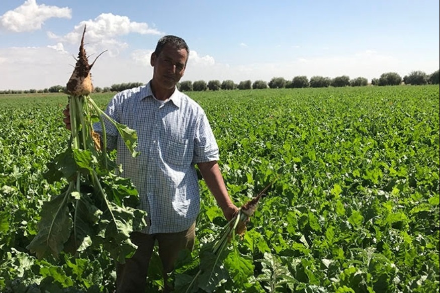 Un projet marocain encourage les jeunes à se lancer dans l'agriculture