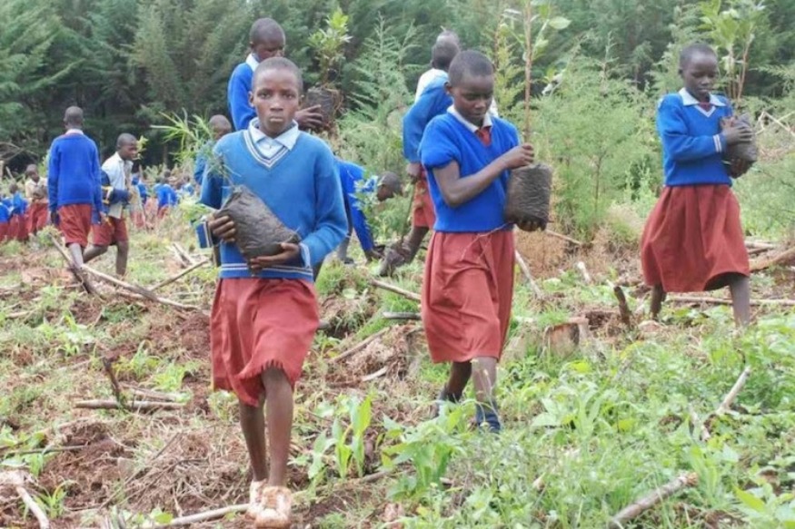 Les jeunes Africains se battent pour sauver l'environnement