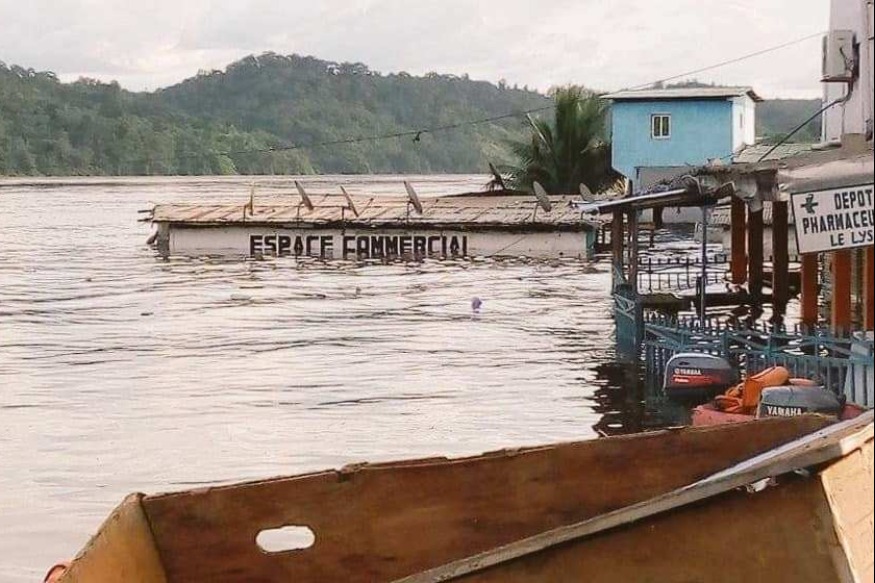 Gabon : Ndjolé et Lambaréné
