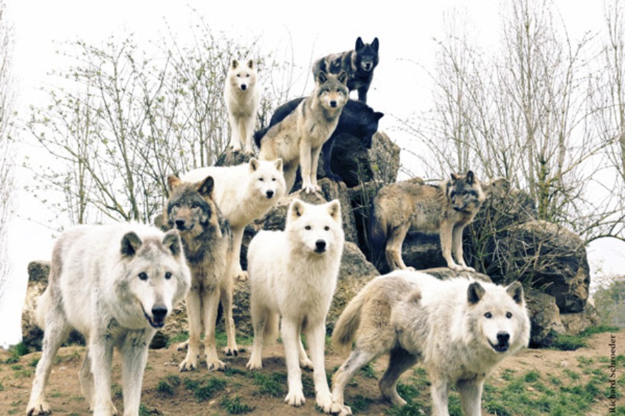 Hum Hum, le clip de Rêves Clandestins