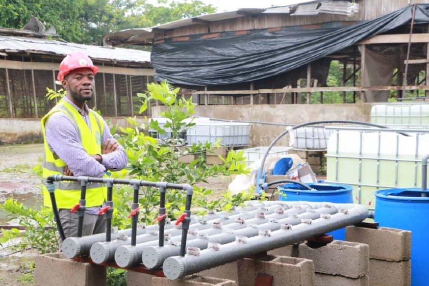Cameroun : Avec l’aquaponie, Flavien Kouatcha veut booster l’agriculture au Cameroun