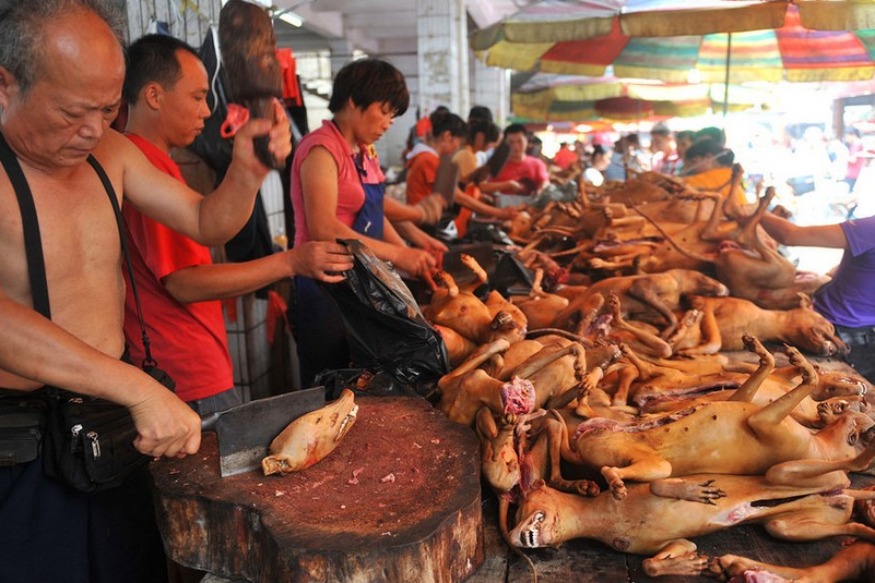 ASIE : Covid-19 : découvrez les viandes dont la consommation est interdite en Chine