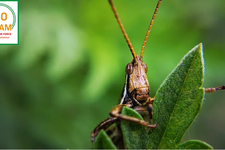AFRIQUE : Un triple danger en Afrique de l’Est, avertit la Croix-Rouge