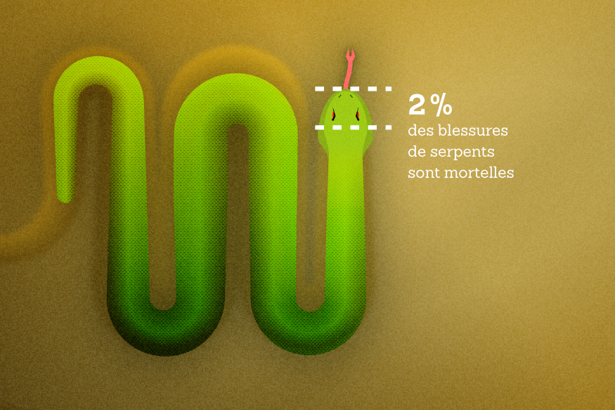 Journée mondiale du serpent
