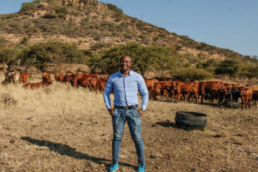 AFRIQUE 2050  : Quantifier la contribution des pasteurs aux économies, aux écosystèmes et à la faune africains