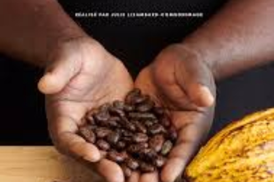 AFRIQUE2050 Keka Wongan : notre cacao made-in Ebolowa-Cameroun