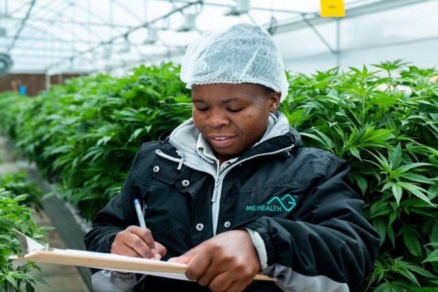 AFRIQUE 2050 : Santé et produits pharmaceutiques