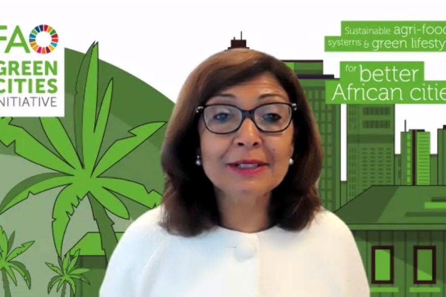 AFRIQUE2050  : Programme d'action régional pour les villes vertes récemment lancé pour l'Afrique