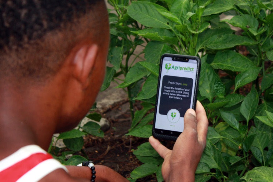 AFRIQUE2050 : Entreprises agro-technologiques axées sur la mission en Afrique que vous devriez connaître