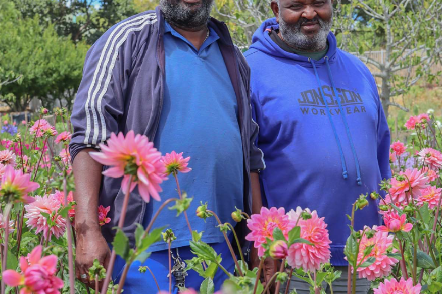 AFRIQUE2050 La ferme florale de Jaftha au Cap : une histoire douloureuse, un avenir radieux