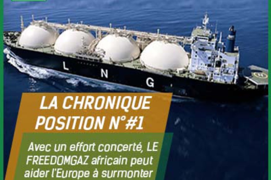 AFRIQUE2050 CHRONIQUE ECONOMIE POSITION N°#1 : Avec un effort concerté, le  FREEDOMGAZ  africain peut aider l'Europe à surmonter sa dépendance au gaz russe