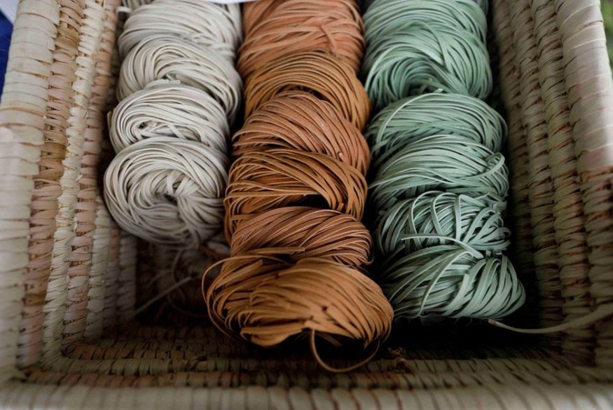 AFRIQUE LES CERALES AFRICAINS : Aldente Africa parmi les premières entreprises à fabriquer des pâtes sans gluten à partir de céréales africaines