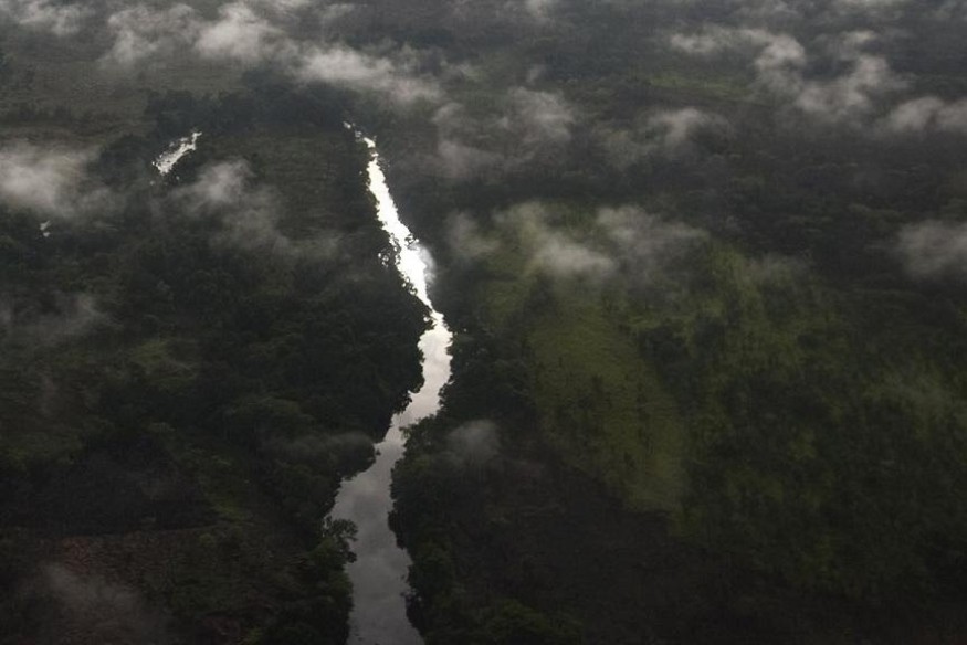 AFRIQUE : Comment le Gabon gère sa partie du bassin du Congo