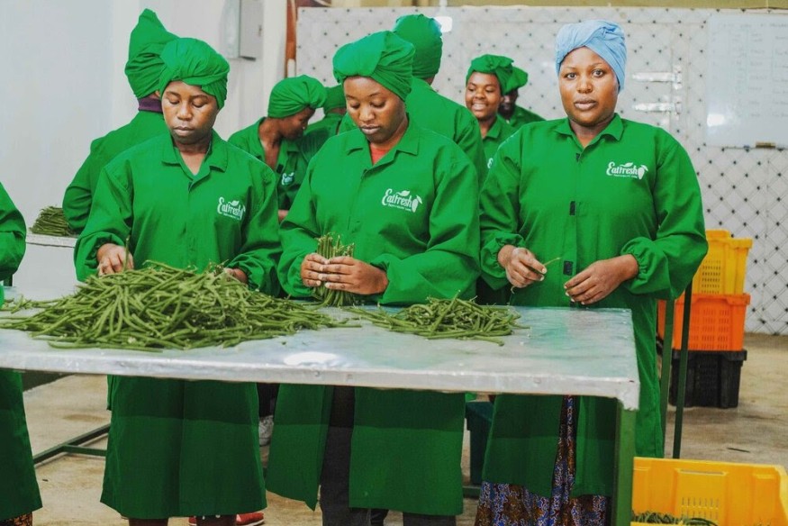 Les entrepreneurs agro-alimentaires et agro-alimentaires tanzaniens dominent les marchés locaux et mondiaux