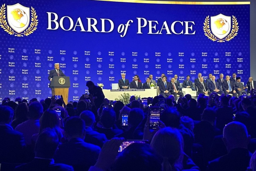 Le Conseil de la Paix : Charte et Fonctionnement