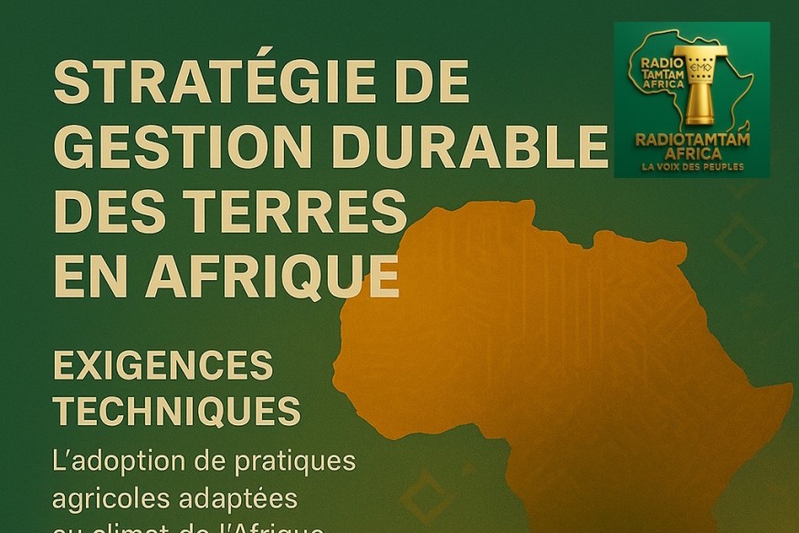 Stratégie de gestion durable des terres en Afrique